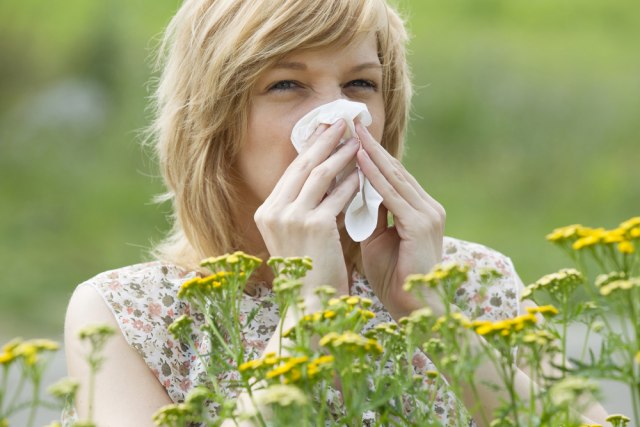 Građani koji strepe od sezone polenskih alergija, sada se mogu zaštititi uz pomoć telefona VIDEO